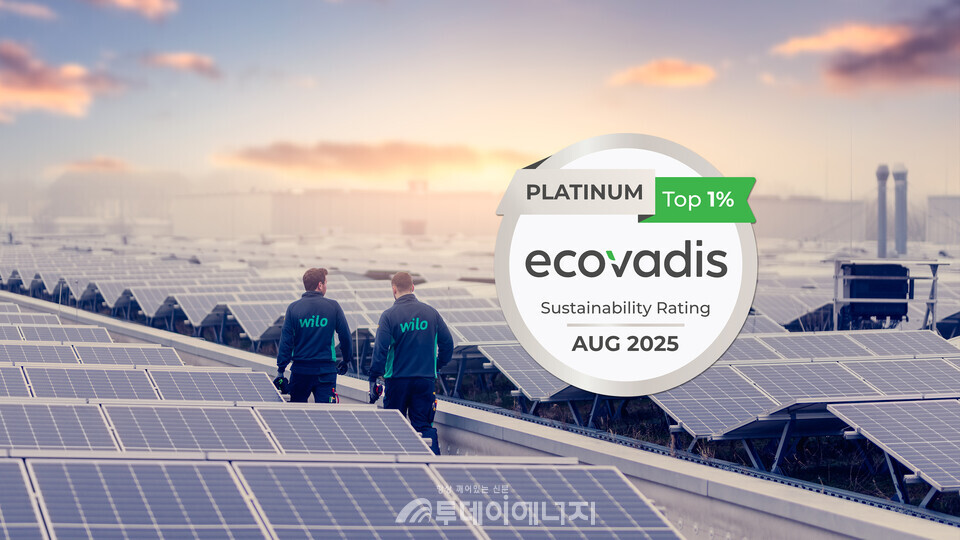 윌로 그룹 제공